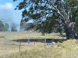 DSC_0290 - Pip McGowan.JPG